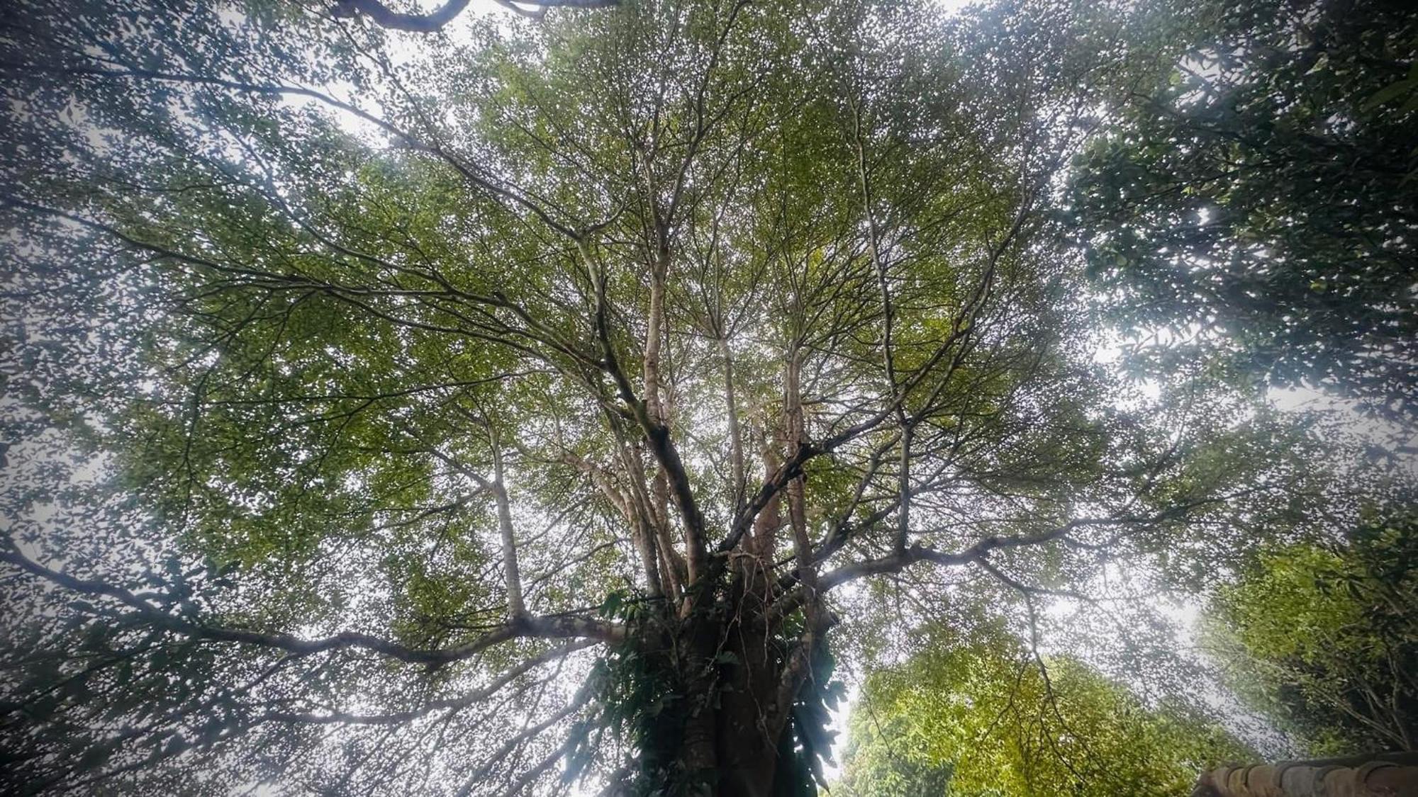 บ้านภทรพรรณ ขุนยวม แม่ฮ่องสอน Ban Pataraphan Khunyuam Maehongson Thailand Ban Khun Yuam Экстерьер фото